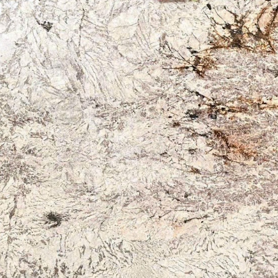 AV-alpinus trắng đuôi công 